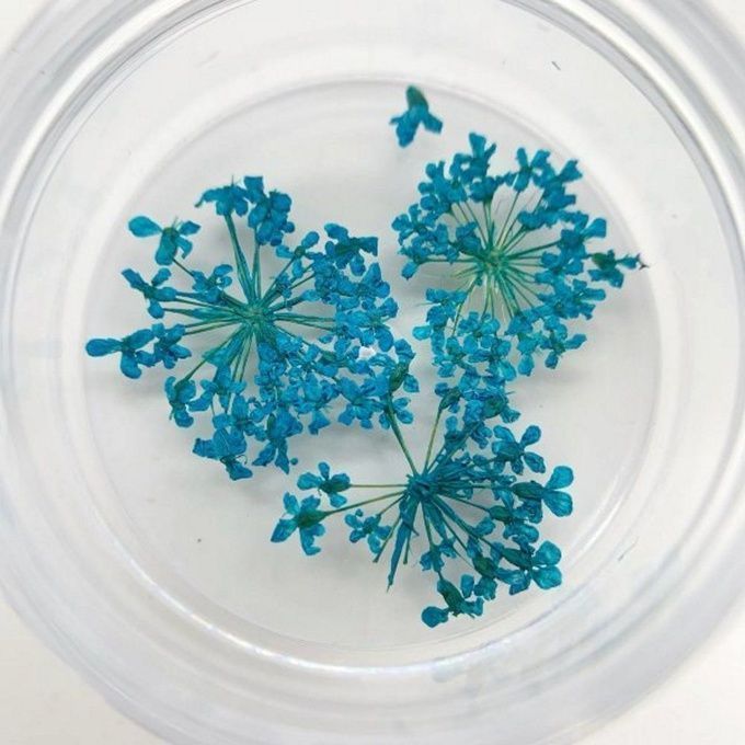 Сухоцветы Zoo Любимые цветочки голубые