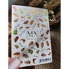 Слайдер-дизайн Miw Nails F-14 Сухоцветы
