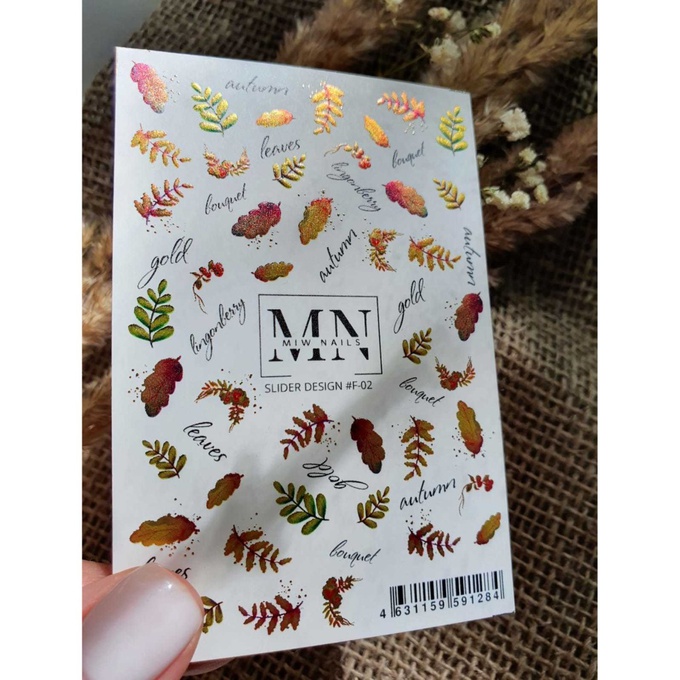 Слайдер-дизайн Miw Nails F-14 Сухоцветы